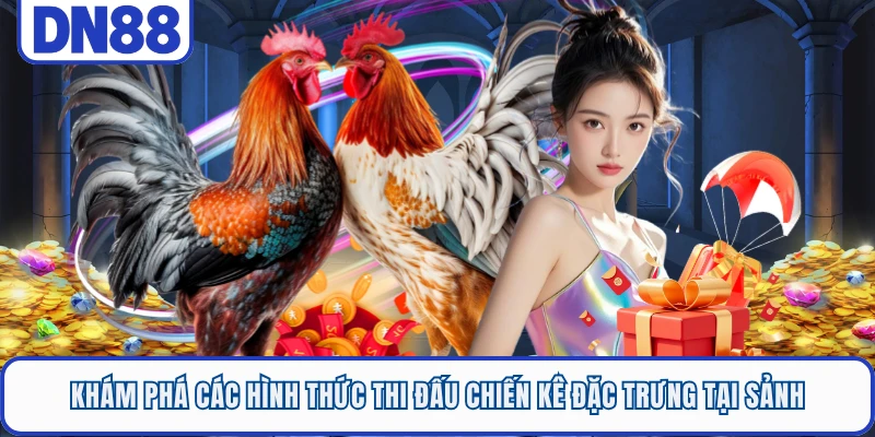 Khám phá các hình thức thi đấu chiến kê đặc trưng tại sảnh 