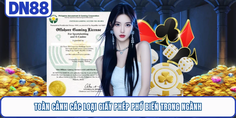Toàn cảnh các loại giấy phép phổ biến trong ngành  