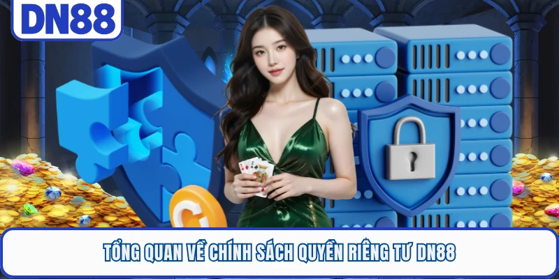Tổng quan về chính sách quyền riêng tư DN88
